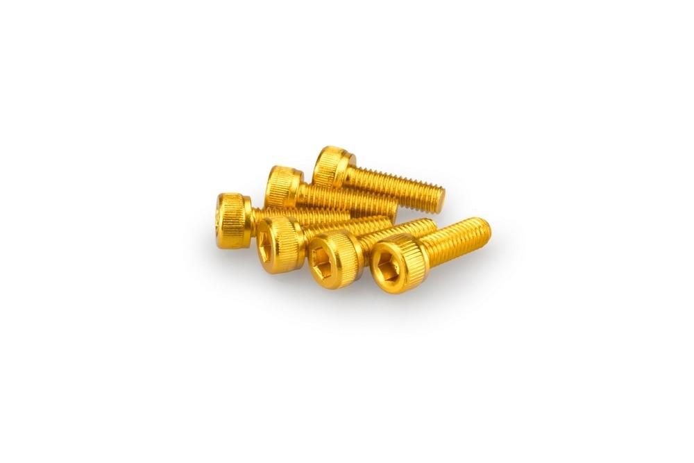Blister 6 Tornillos allen M5X15MM. c/oro