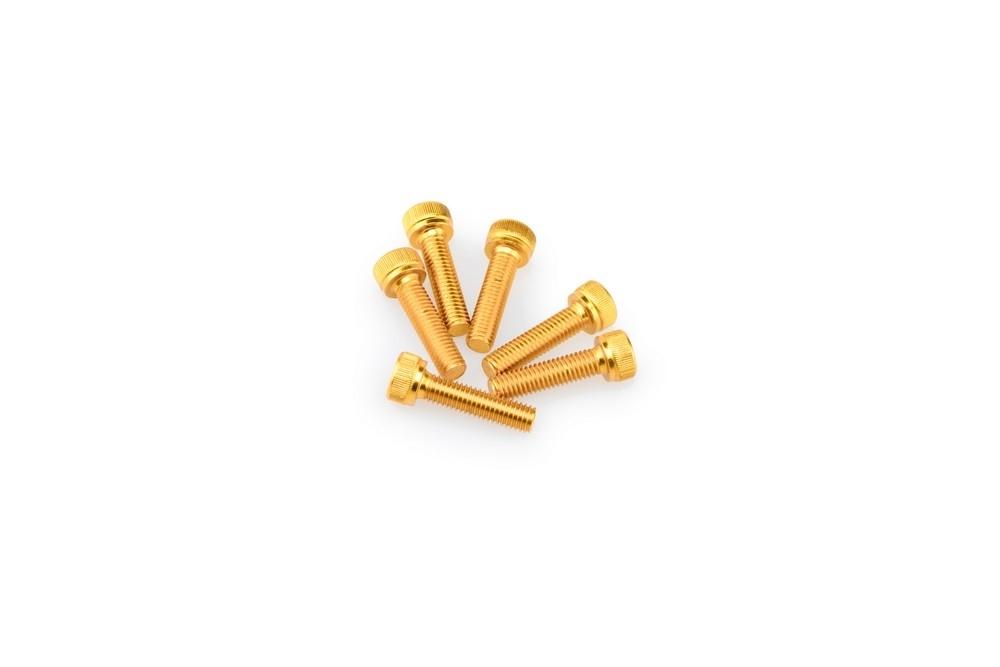 Blister 6 Tornillos allen M5X20MM. c/oro