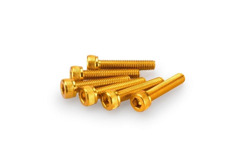 Blister 6 Tornillos allen M5x25mm. color oro