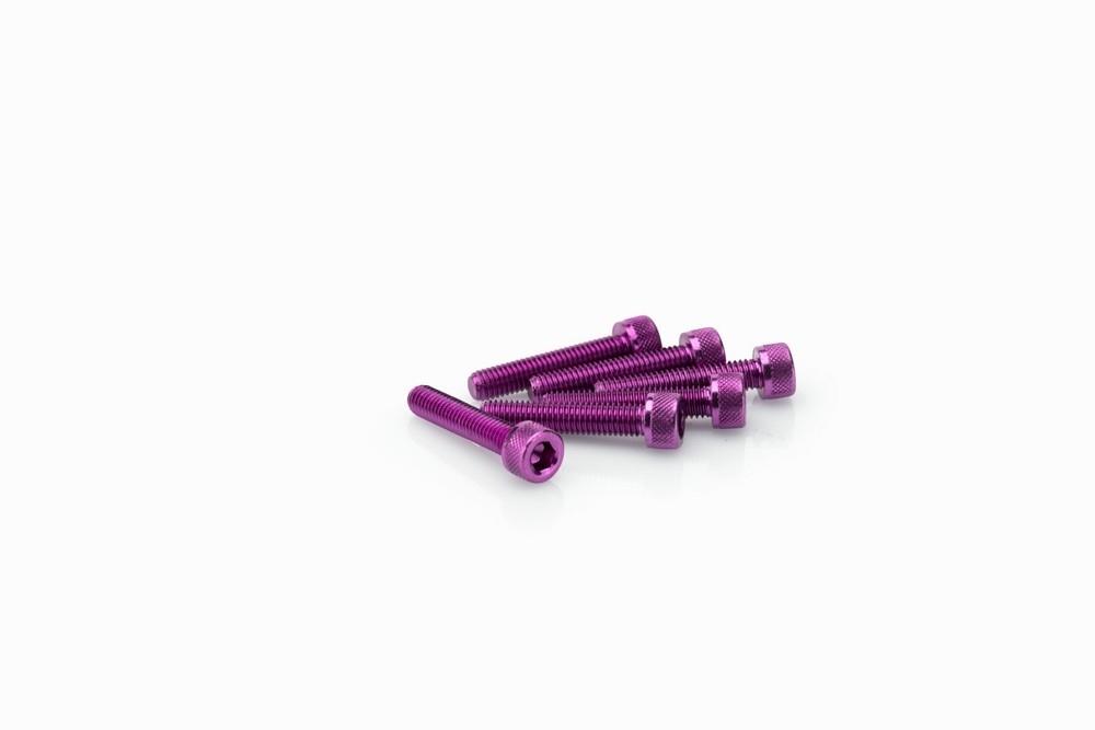 Blister 6 Tornillos allen M5X25MM. C/LILA