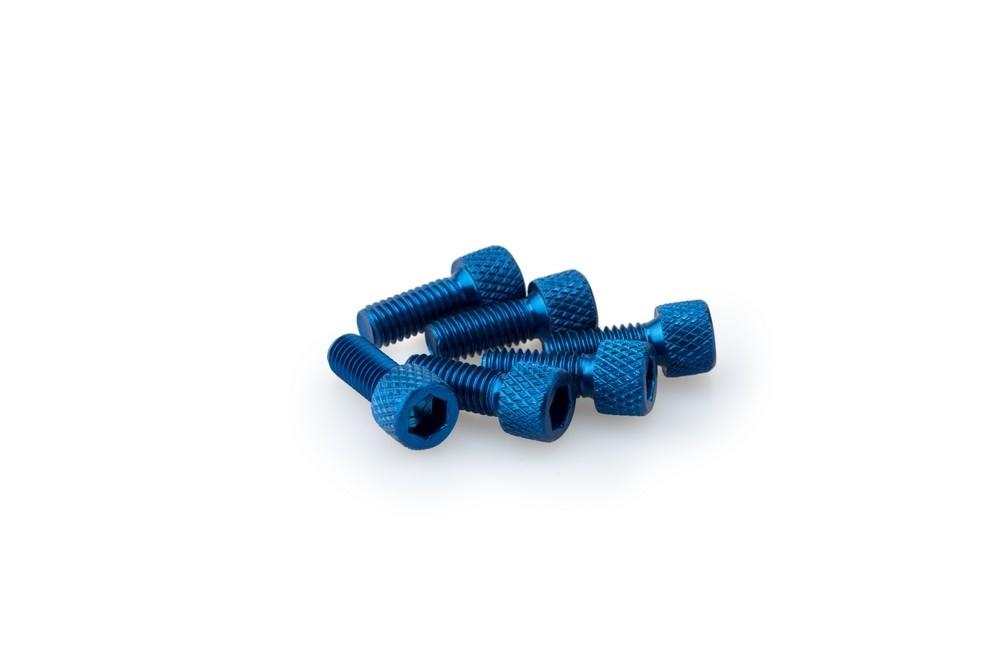Blister 6 Tornillos allen M6X15MM. c/azul