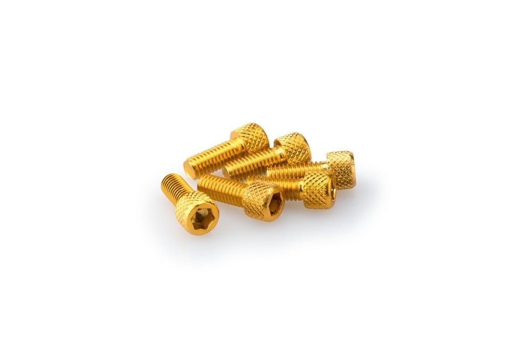 Blister 6 Tornillos allen M6X15MM. c/oro