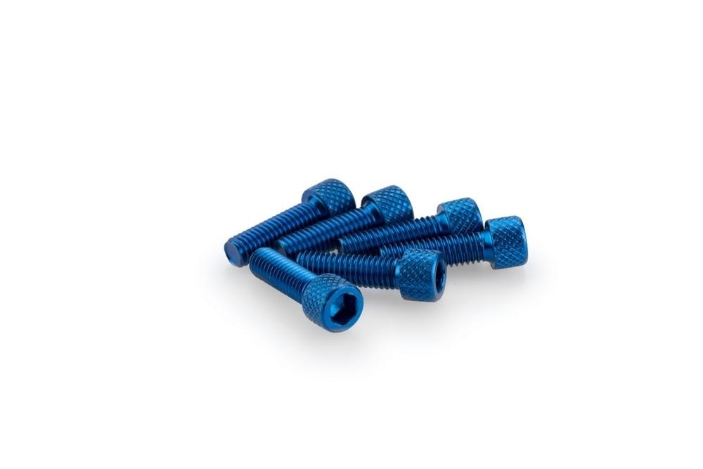 Blister 6 Tornillos allen M6X20MM. c/azul