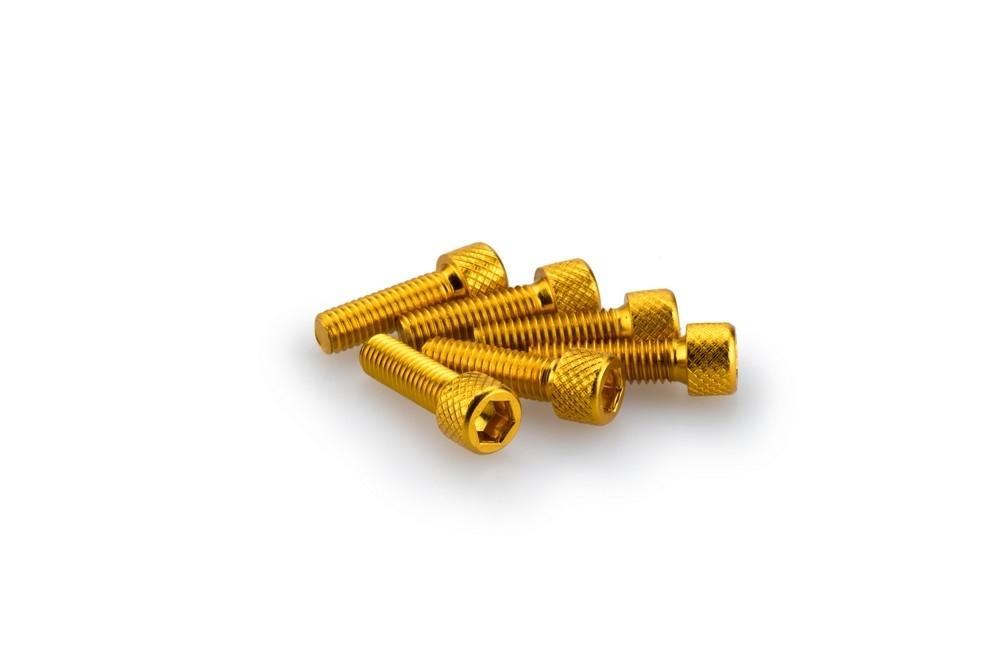 Blister 6 Tornillos allen M6X20MM. c/oro