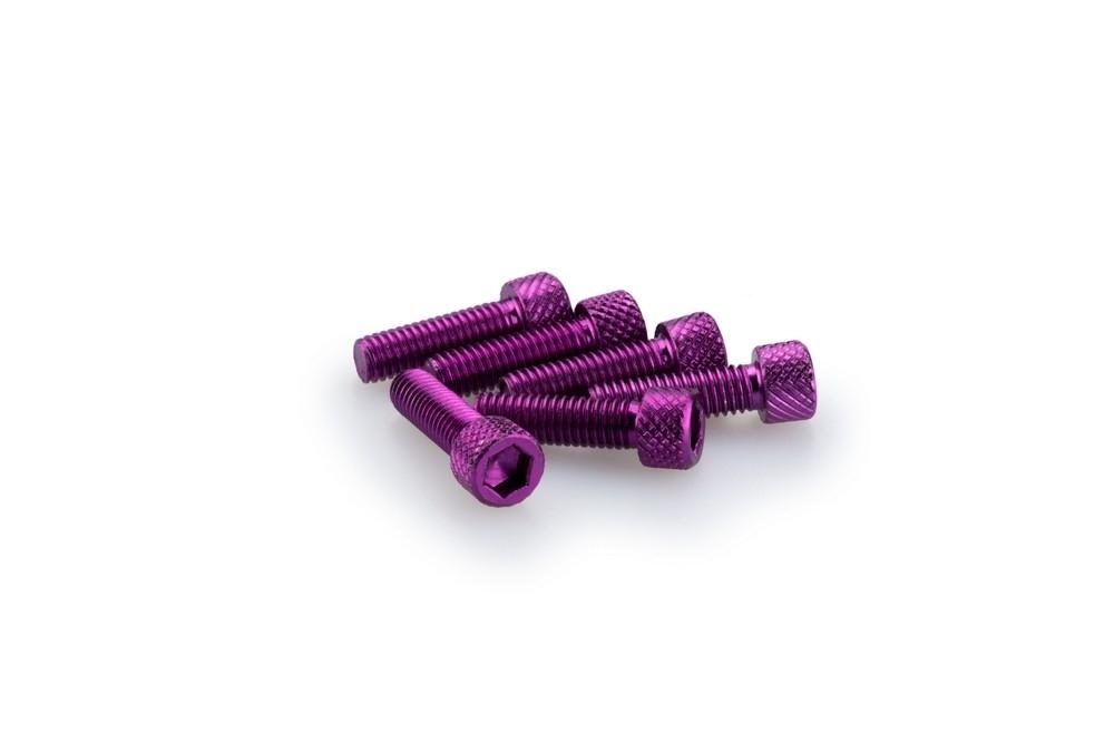 Blister 6 Tornillos allen M6X20MM. c/lila