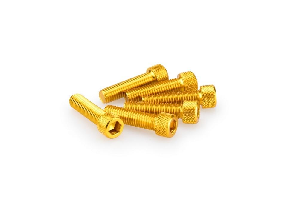 Blister 6 Tornillos allen M8X30MM. C/ORO