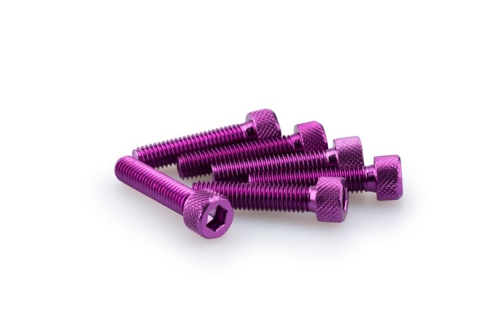 Blister 6 Tornillos allen M8X35MM. C/LILA