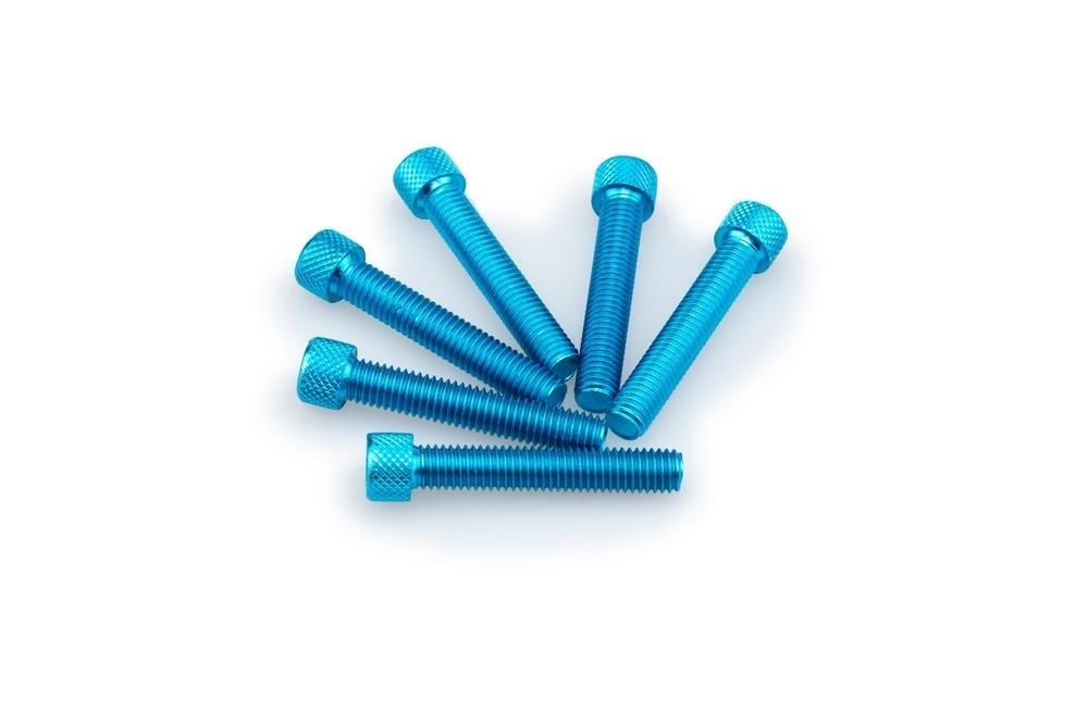 Blister 6 Tornillos allen M8X45MM. C/azul