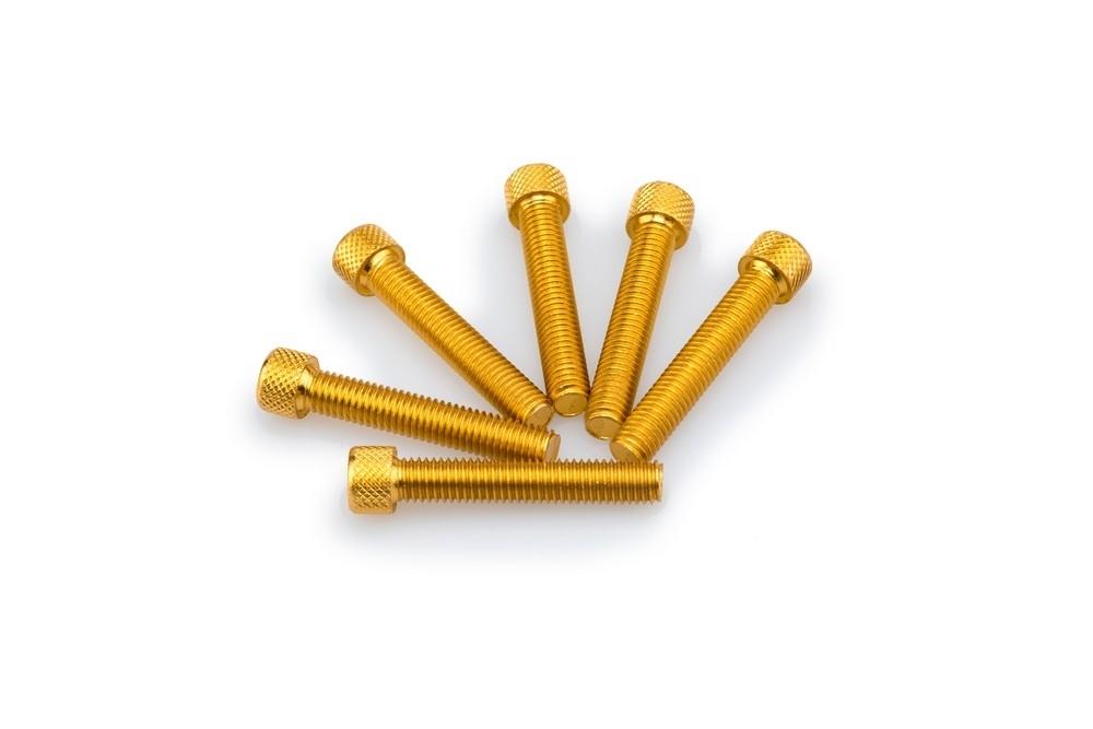 Blister 6 Tornillos allen M8X45MM. C/ORO