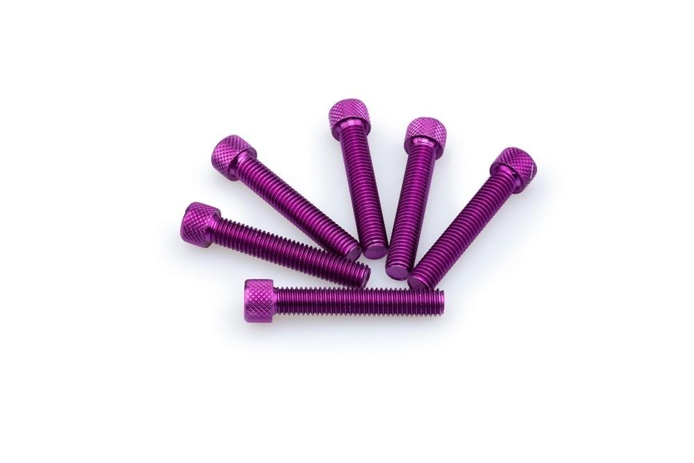 Blister 6 Tornillos allen M8X45MM. C/LILA