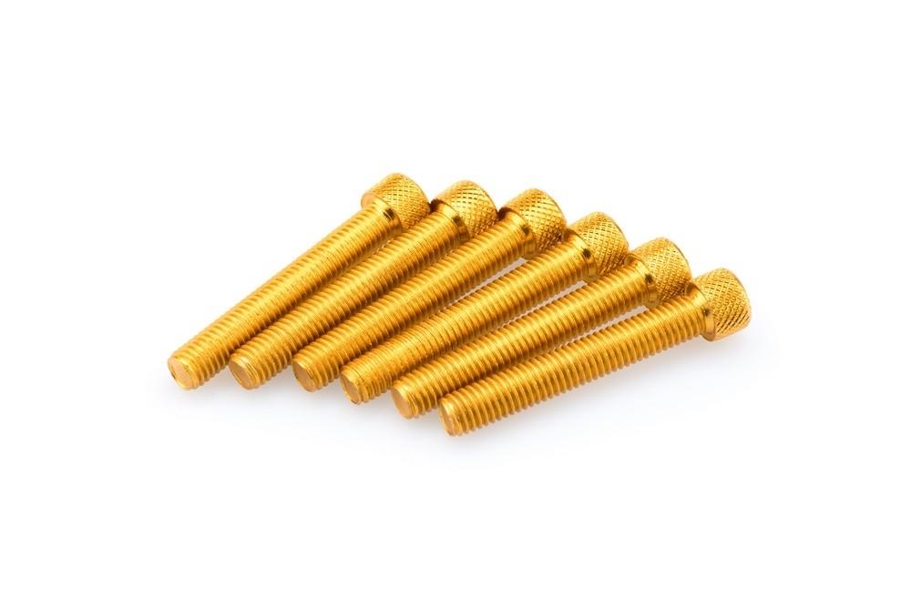 Blister 6 Tornillos allen M8X50MM. C/ORO