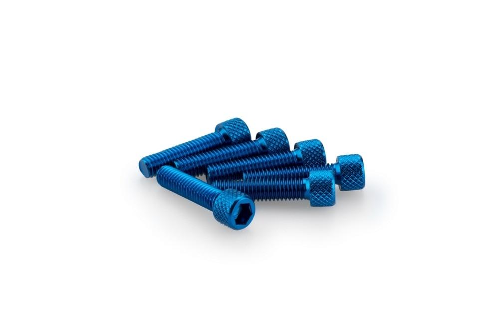 Blister 6 Tornillos allen M6X25MM. C/azul