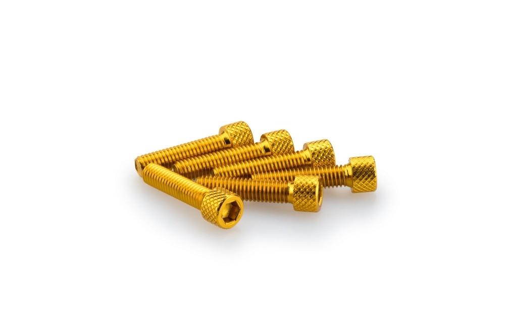 Blister 6 Tornillos allen M6X25MM. C/ORO