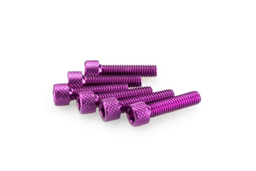 Blister 6 Tornillos allen M6X25MM. C/LILA