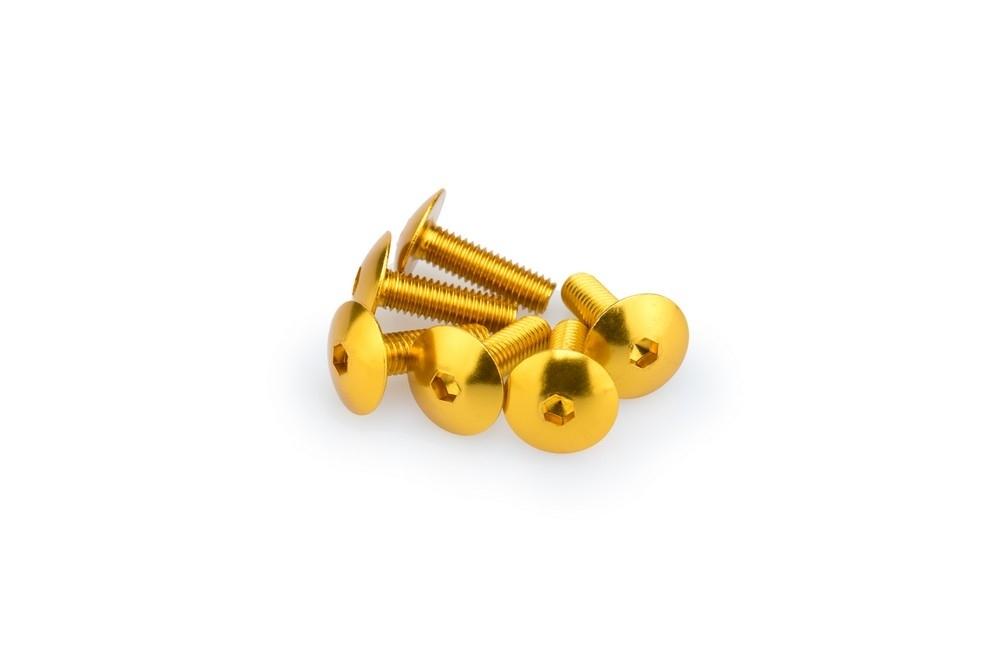 Blister 6 Tornillos Abombado M6X20MM. C/ORO