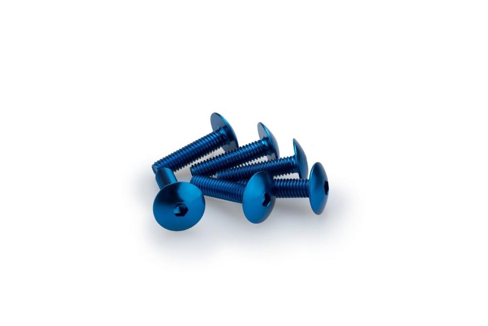 Blister 6 Tornillos Abombado M6X25MM. C/azul