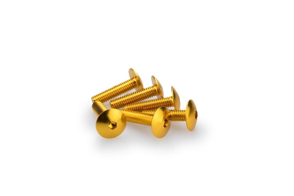 Blister 6 Tornillos Abombado M6X25MM. C/ORO