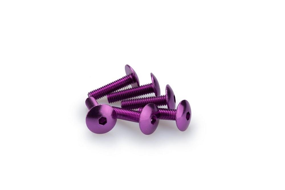 Blister 6 Tornillos Abombado M6X25MM. C/LILA