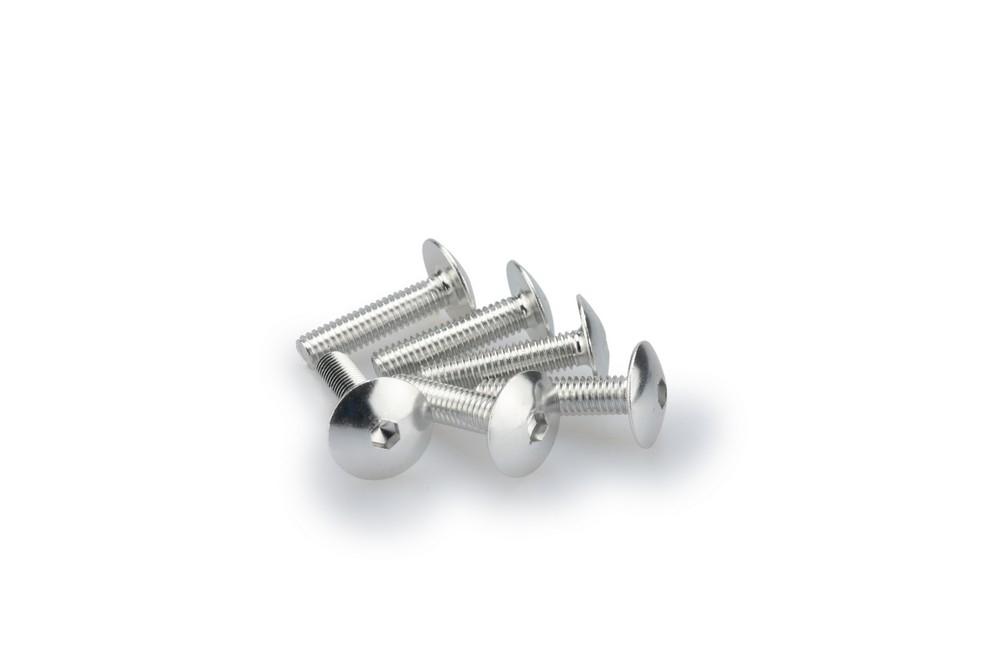 Blister 6 Tornillos Abombado M6X25MM. C/plata