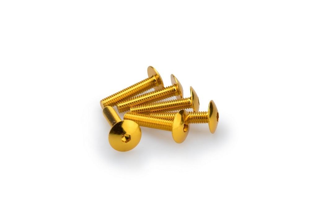 Blister 6 Tornillos Abombado M6X30 c/oro