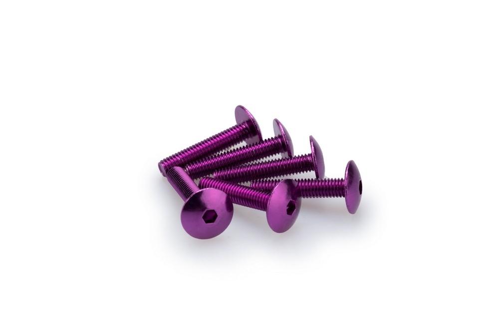 Blister 6 Tornillos Abombado M6X30 c/violeta